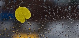 Azərbaycanda yağıntı intensivləşəcək - XƏBƏRDARLIQ