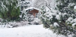 Dağlıq ərazilərə qar yağacaq