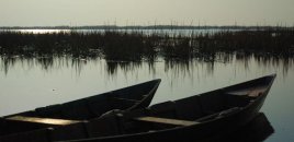 Balıqçılar Kürdə köməksiz vəziyyətdə qaldı