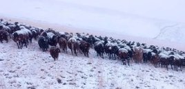 Yağıntılı hava davam edir, dağlıq ərazilərə qar yağır - FAKTİKİ HAVA