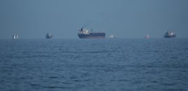 İran Pakistanın 20 gəmisinin Hörmüz boğazından keçməsinə icazə verib