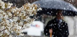 Ölkə ərazisində intensiv yağışlar davam edib, dağlıq ərazilərə qar yağıb