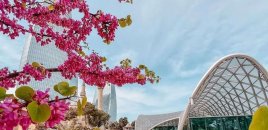 Sabahın havası açıqlandı - Temperatur 25 dərəcəyə yüksələcək