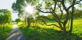 Aprel ayına olan hava proqnozu açıqlanıb