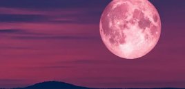 "Çəhrayı ay" bu səbəbdən görünməyəcək