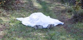 60 gün əvvəl itkin düşən şəxsin meyiti tapıldı