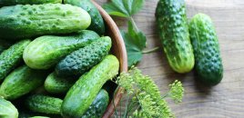 Hava şəraiti fermerləri çətin vəziyyətə salıb: Məhsul itkisi artır - VİDEO