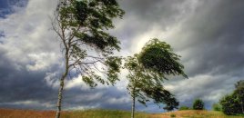 Bakıda və bəzi bölgələrdə külək güclənəcək - XƏBƏRDARLIQ