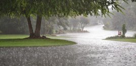 Bazar gününün havası açıqlandı - İntensiv yağış yağacaq