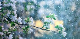 Bəzi yerlərdə intensiv və güclü yağıntılar olub, dağlara qar yağıb