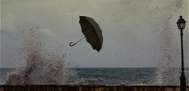 Küləkli hava şəraiti ilə bağlı sarı və narıncı xəbərdarlıq verilib