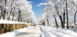 Bu gün bu ərazilərə qar yağacaq - XƏBƏRDARLIQ