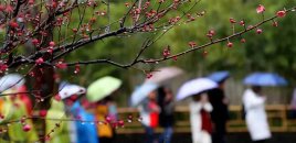 Sabah hava necə olacaq?