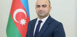 Kollec təhsili sürətli ixtisaslaşma platformasına çevrilməlidir