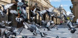 Sabah hava necə olacaq?