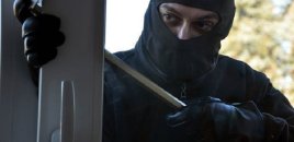 Elektronika mağazasından oğurluq edən şəxs saxlanıldı