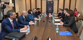 Sahibə Qafarova Gürcüstan parlamentinin sədri ilə görüşüb - FOTO