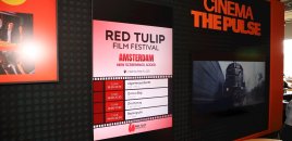 Amsterdamda “Qırmızı bağ” filmi nümayiş etdirildi - VİDEO