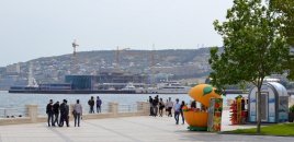Bakıda da peyda olmağa başlayır - Qarşınıza çıxsa, dərhal uzaqlaşın
