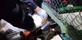 Bakıda stadionda 11 yaşlı uşağın başına iş gəldi - XİLASEDİLMƏ GÖRÜNTÜLƏRİ