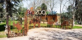 Bakı zooparkı ləğv olunur