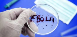 ÜST: "Ebola virusu sürətlə yayılır"