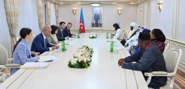Sahibə Qafarova Afrika Qrupu nümayəndələri ilə görüşdü