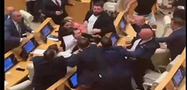 Gürcüstan parlamentinin iclasında dava düşüb - VİDEO