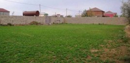 Bakıda dövlətə məxsus 25 hektar torpağı satıblar - 11 nəfər ittiham edilir