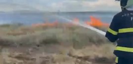 Qazaxda taxıl sahəsində yanğın - Video