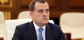 "Xaricdəki hərbi münaqişələrə qoşulanlar vətəndaşlıqdan məhrum edilə bilərlər"  - VİDEO