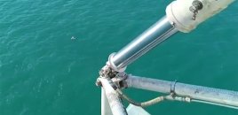 Zeynəbin axtarışlarına helikopter cəlb edildi - Video