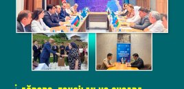 İşğaldan azad olunan ərazilərdə məşğulluq tədbirləri genişlənir