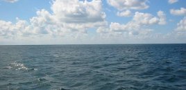 Xəzər niyə dayazlaşır? – Səbəbləri və mümkün təhlükələri