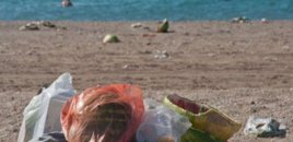 Dəniz sahilini zibilləyən kimlərdir? – Məsuliyyət kimdədir?