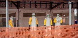 Konqoda Ebola qurbanlarının sayı 900-ə çatdı