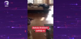 Gündəlik kirayə verilən mənzillərin yararsız vəziyyətə salınmaması üçün nə edilməldir? - VİDEO