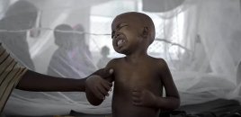 Nigeriyada vəba epidemiyası: 14 nəfər öldü