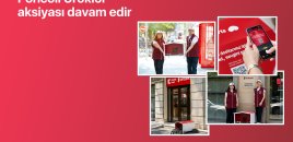 “Pəncəli Ürəklər” aksiyası çərçivəsində sahibsiz heyvanlar üçün yuvaların sayı 35-ə çatdı