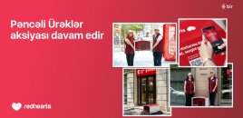 “Pəncəli Ürəklər” aksiyası çərçivəsində sahibsiz heyvanlar üçün yuvaların sayı 35-ə çatdı
