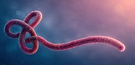 ÜST: Ebola virusu nəzarətdən çıxır