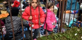 Seutada miqrant uşaqlar üçün sığınacaqlar yaradılır