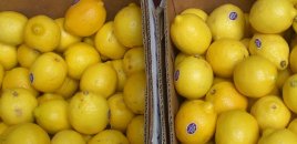 Limona görə şəhid valideynləri ilə dalaşdı, həbs olundu