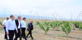 Icra başçısı yeni salınmış intensiv meyvə bağı ilə tanış oldu - FOTOLAR
