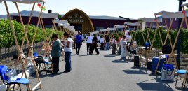 Şəkidə beynəlxalq şərab turizmi konfransı keçirildi – 800-dən çox qonaq festivalda iştirak etdi