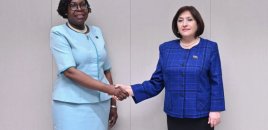 Sahibə Qafarova Mozambikin Baş naziri ilə görüşdü