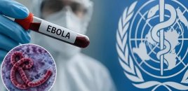 Ebola tarixdə görünməmiş sürətlə yayılır: ÜST-dən HƏYƏCAN TƏBİLİ