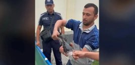 Zirzəmidə köpəkbalığı saxladığı iddia edildi