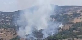Bursada meşə yanğını başlayıb