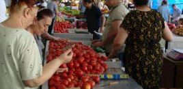 Payız gəlmədən bahalıq gəldi: Üzüm, şaftalı və xiyarın son qiymətləri - VİDEO